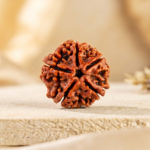 5 Mukhi Rudraksha